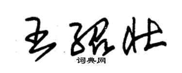 朱錫榮王紹壯草書個性簽名怎么寫