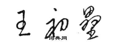 駱恆光王初壘草書個性簽名怎么寫