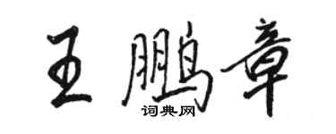 駱恆光王鵬章行書個性簽名怎么寫