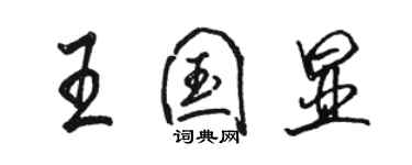 駱恆光王國顯行書個性簽名怎么寫