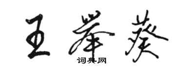 駱恆光王舉葵行書個性簽名怎么寫