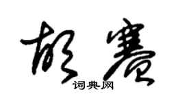 朱錫榮胡賽草書個性簽名怎么寫