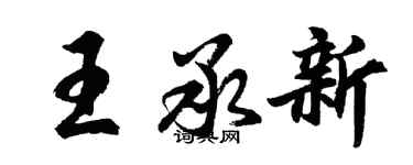 胡問遂王承新行書個性簽名怎么寫