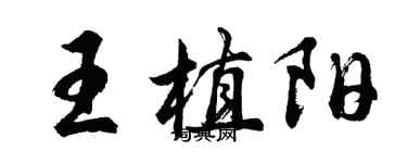 胡問遂王植陽行書個性簽名怎么寫