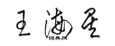 駱恆光王海星草書個性簽名怎么寫