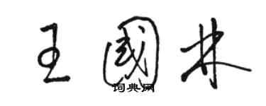 駱恆光王國林草書個性簽名怎么寫