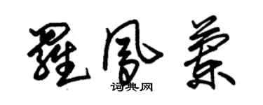 朱錫榮羅鳳蘭草書個性簽名怎么寫