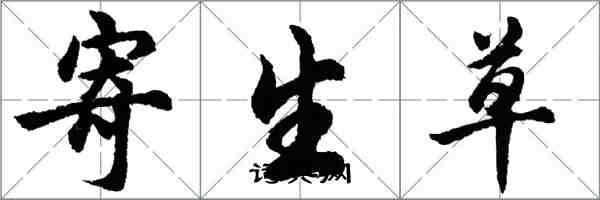 胡問遂寄生草行書怎么寫