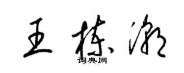 梁錦英王棟潮草書個性簽名怎么寫