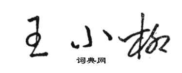 駱恆光王小柳草書個性簽名怎么寫