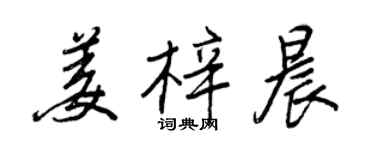 王正良姜梓晨行書個性簽名怎么寫