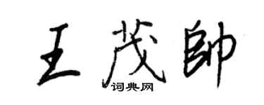 王正良王茂帥行書個性簽名怎么寫