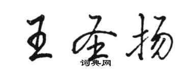 駱恆光王聖揚行書個性簽名怎么寫