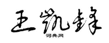 曾慶福王凱鋒草書個性簽名怎么寫