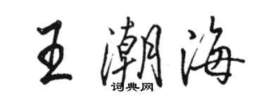 駱恆光王潮海行書個性簽名怎么寫