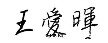 王正良王愛暉行書個性簽名怎么寫