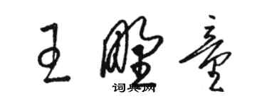 駱恆光王野童草書個性簽名怎么寫