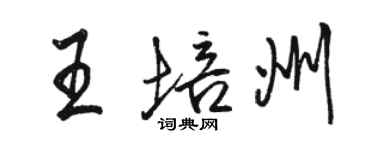 駱恆光王培州行書個性簽名怎么寫