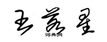 朱錫榮王若星草書個性簽名怎么寫