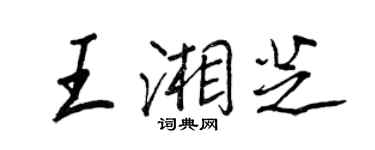 王正良王湘芝行書個性簽名怎么寫