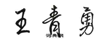 駱恆光王青勇行書個性簽名怎么寫