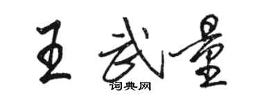 駱恆光王武量行書個性簽名怎么寫