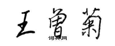 王正良王曾菊行書個性簽名怎么寫