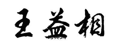 胡問遂王益相行書個性簽名怎么寫