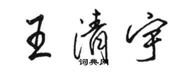 駱恆光王清宇行書個性簽名怎么寫
