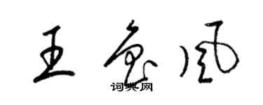 梁錦英王魯風草書個性簽名怎么寫