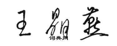 駱恆光王晶燕草書個性簽名怎么寫