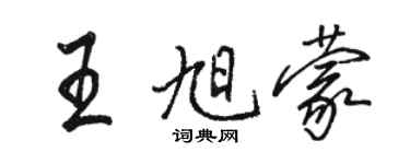 駱恆光王旭蒙行書個性簽名怎么寫