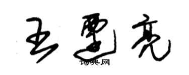 朱錫榮王遷亮草書個性簽名怎么寫