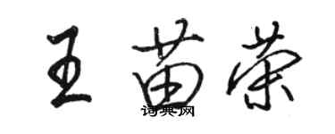 駱恆光王苗榮行書個性簽名怎么寫