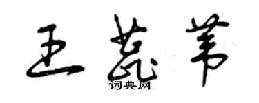 曾慶福王蕊葦草書個性簽名怎么寫