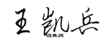 駱恆光王凱兵行書個性簽名怎么寫