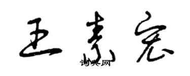 曾慶福王素宏草書個性簽名怎么寫