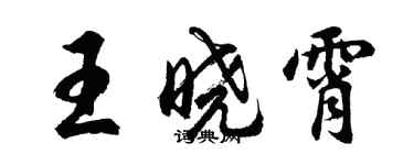 胡問遂王曉霄行書個性簽名怎么寫