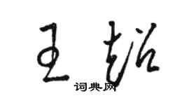 駱恆光王超草書個性簽名怎么寫