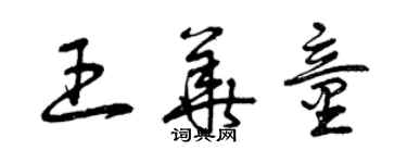 曾慶福王華童草書個性簽名怎么寫