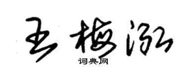朱錫榮王梅泓草書個性簽名怎么寫