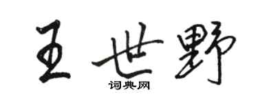 駱恆光王世野行書個性簽名怎么寫