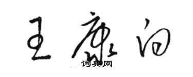 駱恆光王康白草書個性簽名怎么寫