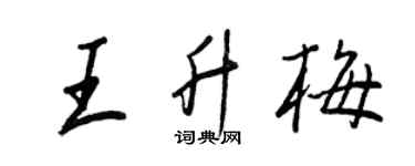 王正良王升梅行書個性簽名怎么寫