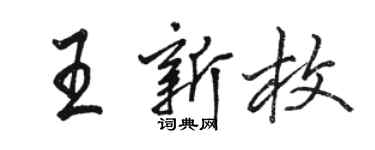 駱恆光王新枚行書個性簽名怎么寫