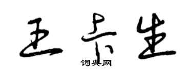 曾慶福王卡生草書個性簽名怎么寫