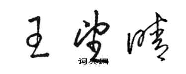 駱恆光王望晴草書個性簽名怎么寫
