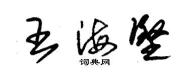 朱錫榮王海堅草書個性簽名怎么寫