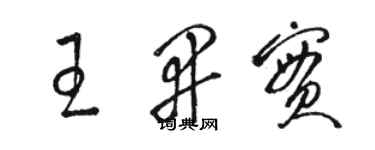 駱恆光王開實草書個性簽名怎么寫