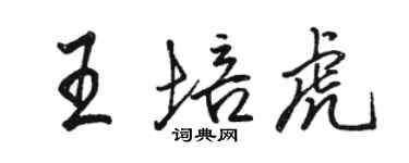 駱恆光王培虎行書個性簽名怎么寫